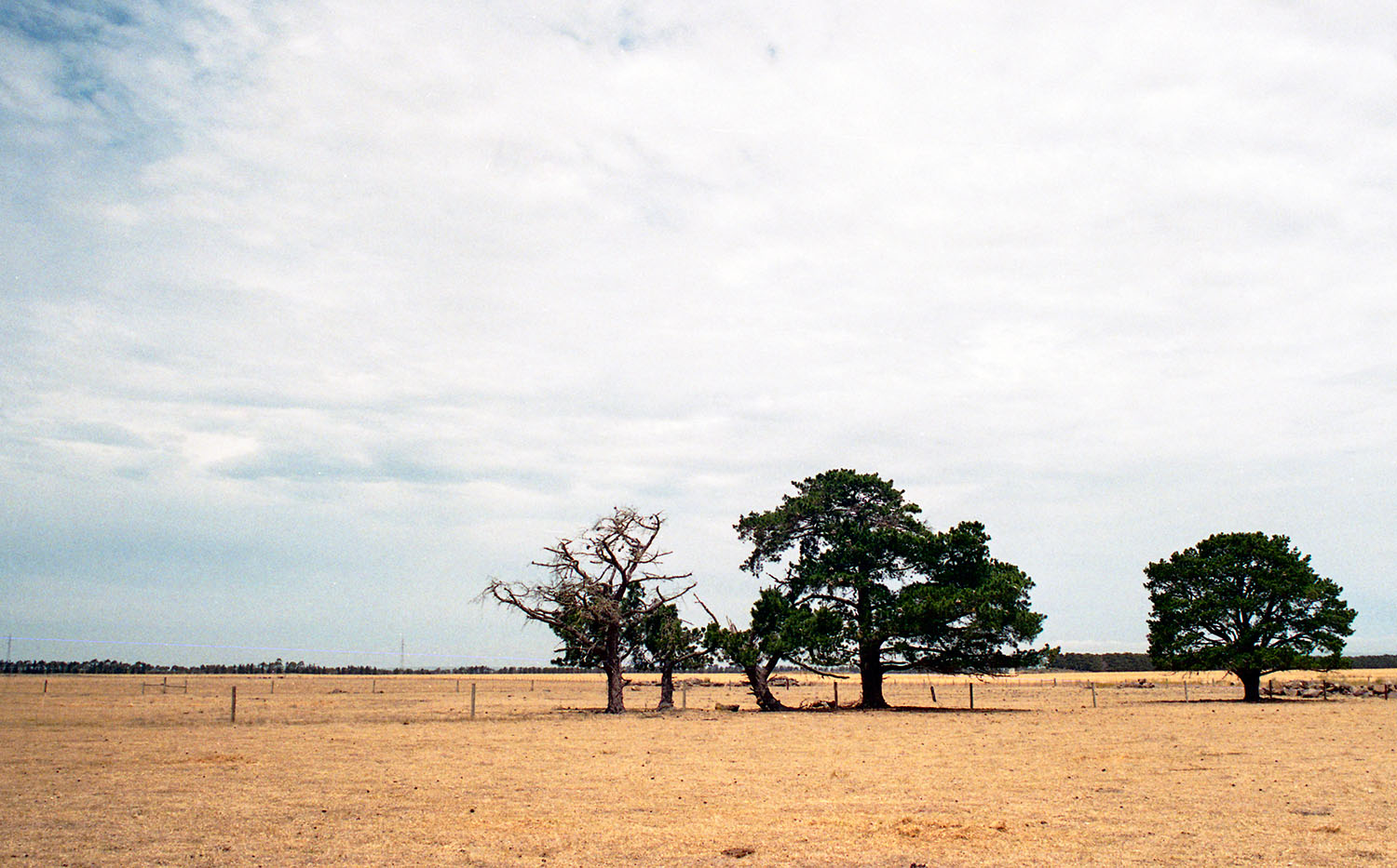 Australian summer