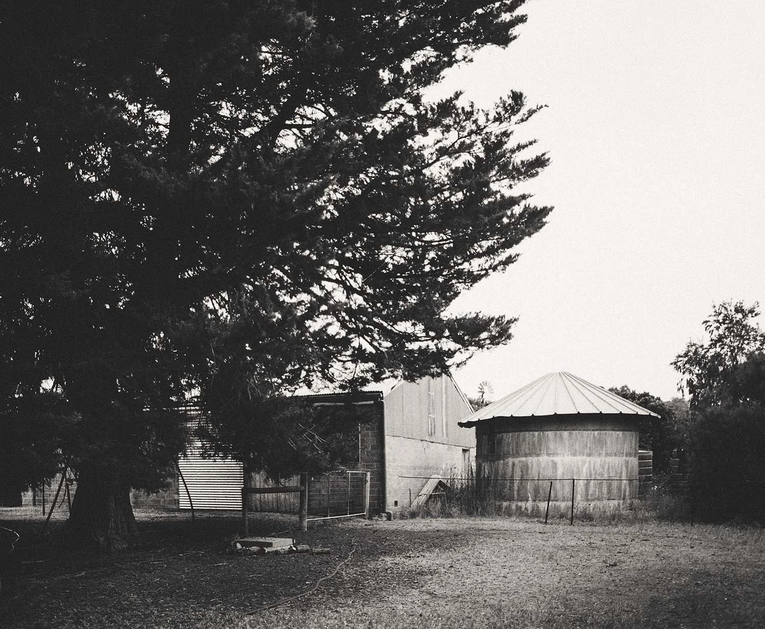 Tranquility of the farm
