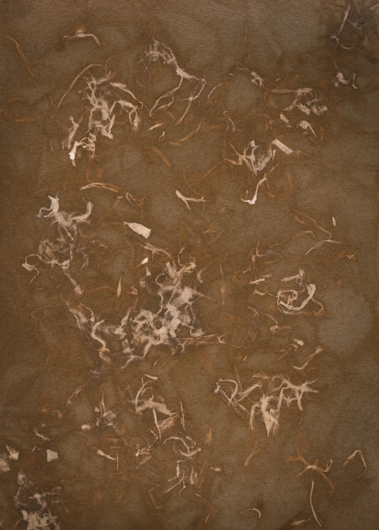 Calendula Officinalis  "If a girl touches the petals of a marigold with her bare feet, she will understand the language of birds" Cunningham's Encyclopedia of Magical Herbs