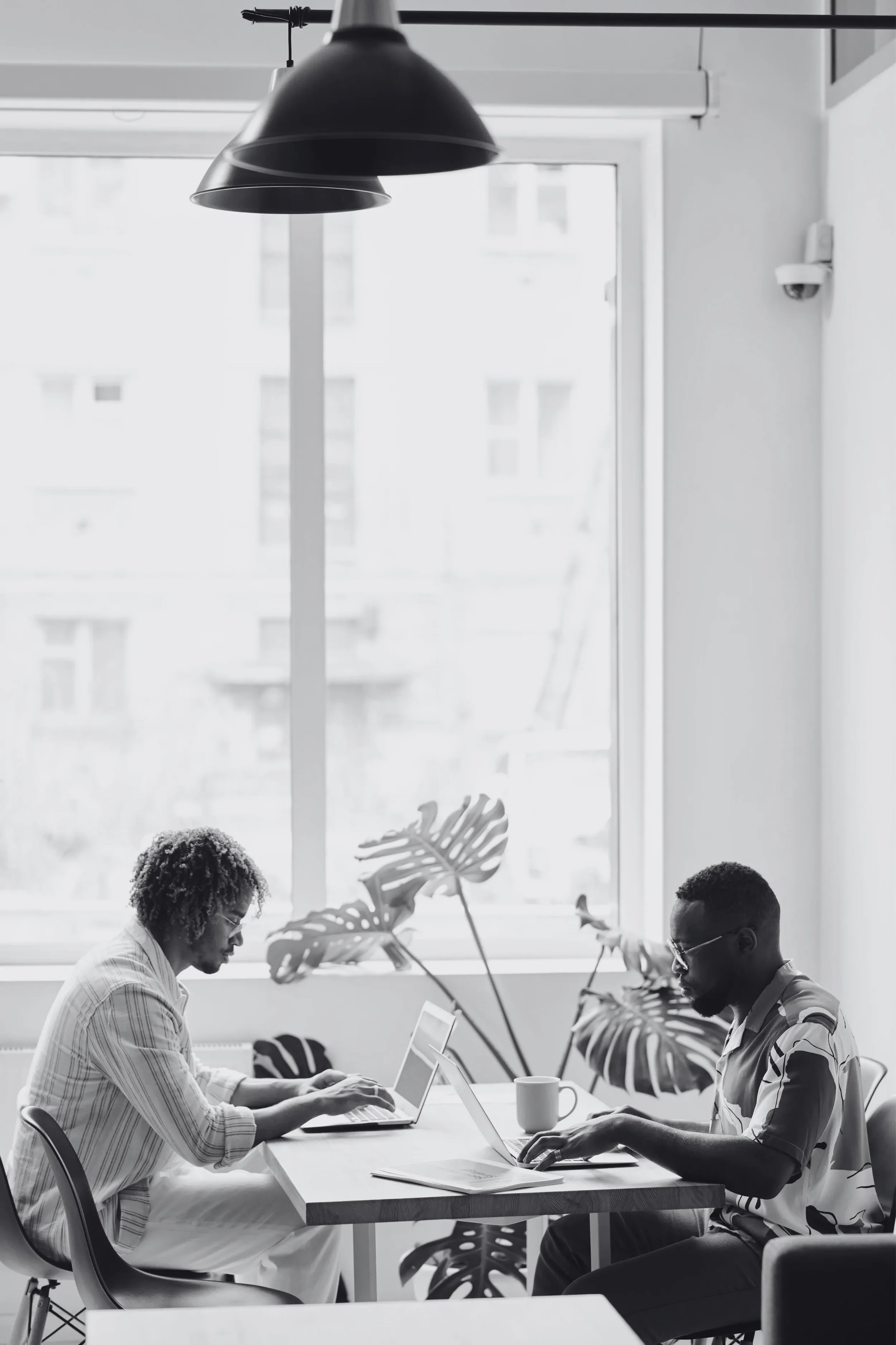 Two men working on laptops at a wooden table in a bright office with large windows and potted plants.