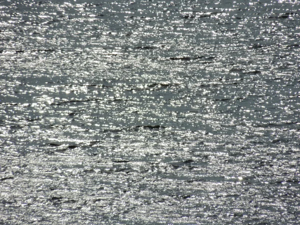 The lake glistens in the sun on September 19.