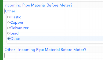 Survey Form showing the selection of "Other" and the hidden question appearing with option to enter a value.