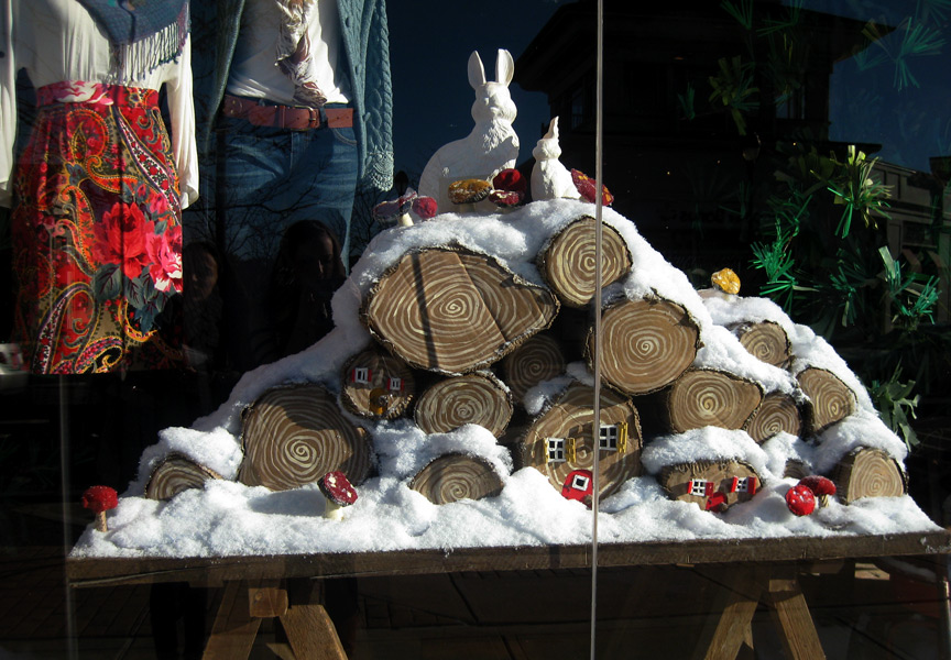 stump-window-close.jpg