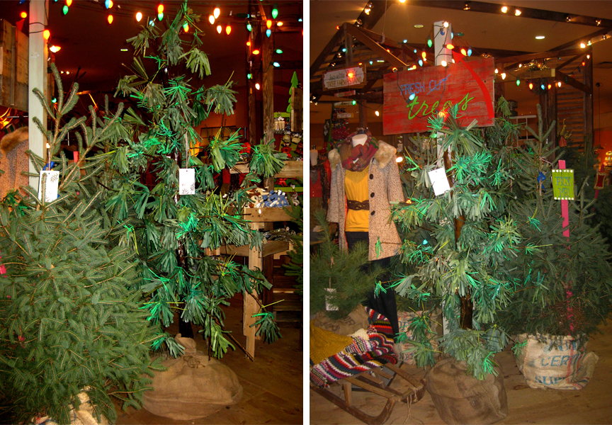 treefarm2.png