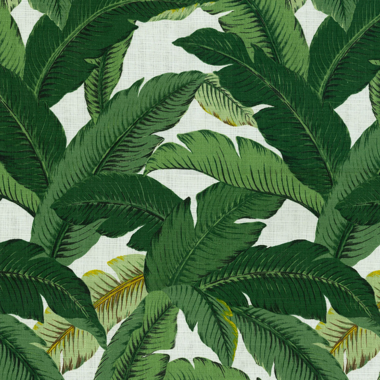 Palm 132"R, 108" x 156" King Drape $59