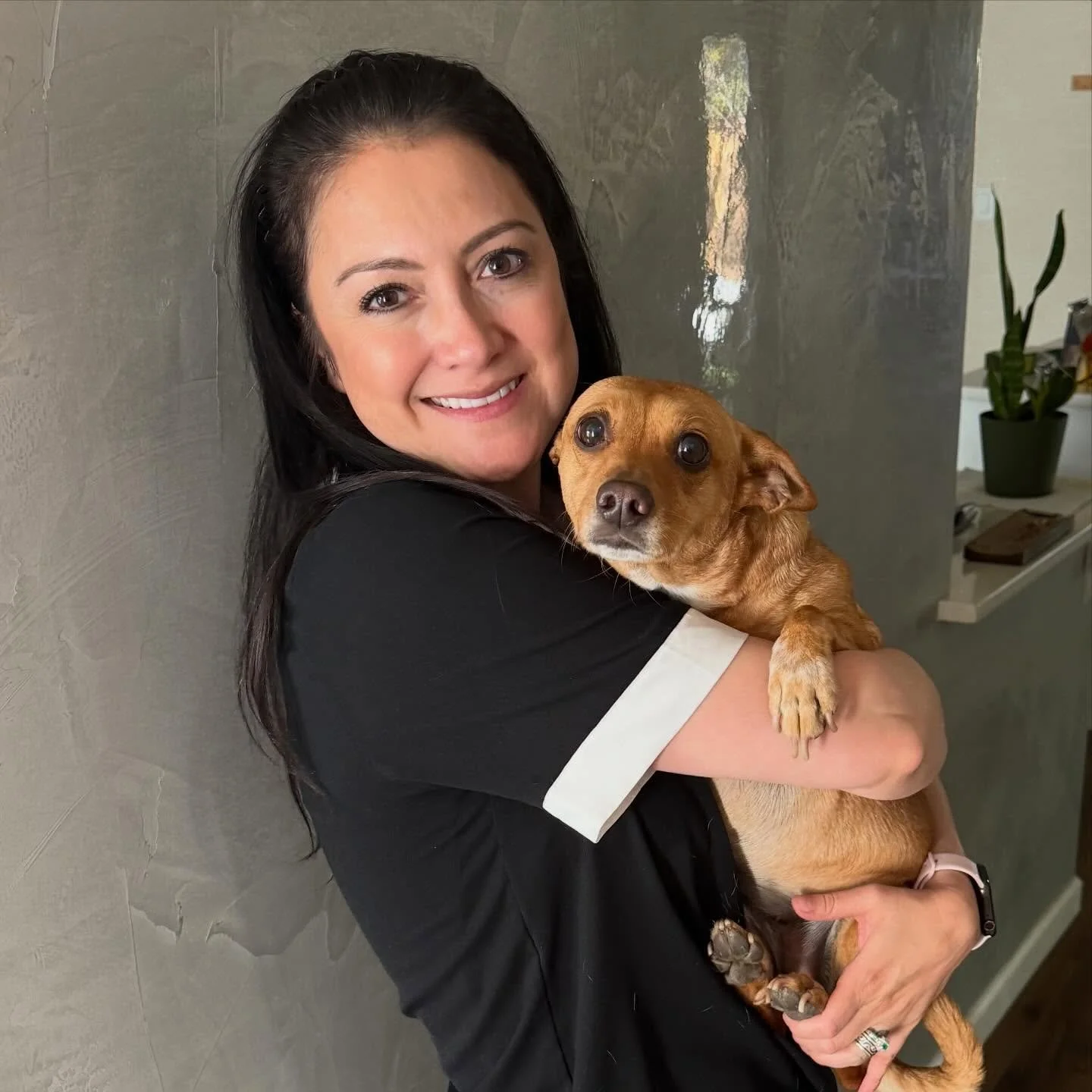 I have great news. I got the email today accepting me into Traditional Spanish Market July 25-26th on the Santa Fe Plaza, showing my Colcha Embroidery. I don&rsquo;t have a booth number just yet, but when I do, I will send out invites to everyone. I 