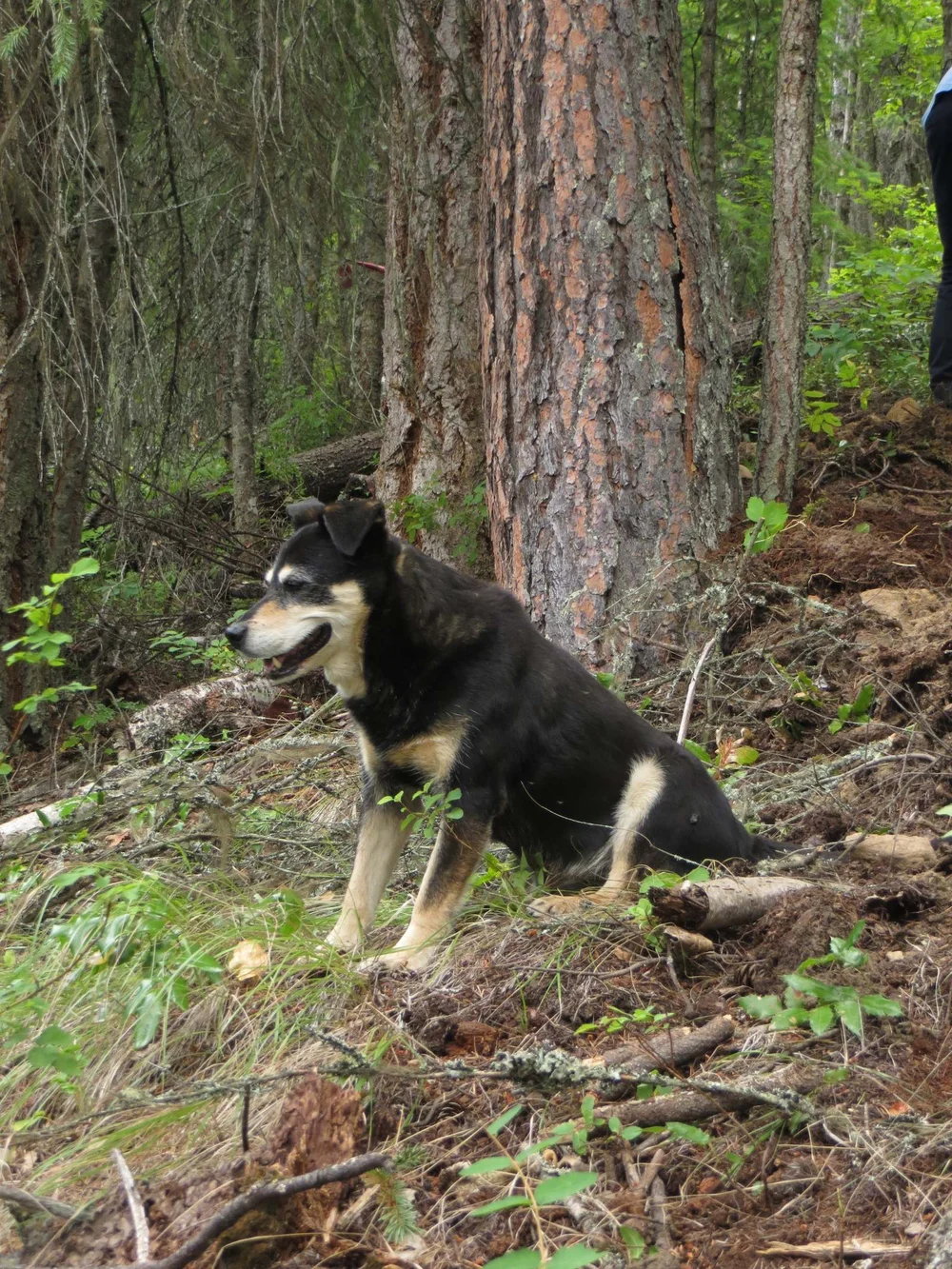 <Ohne Titel> 007.jpeg