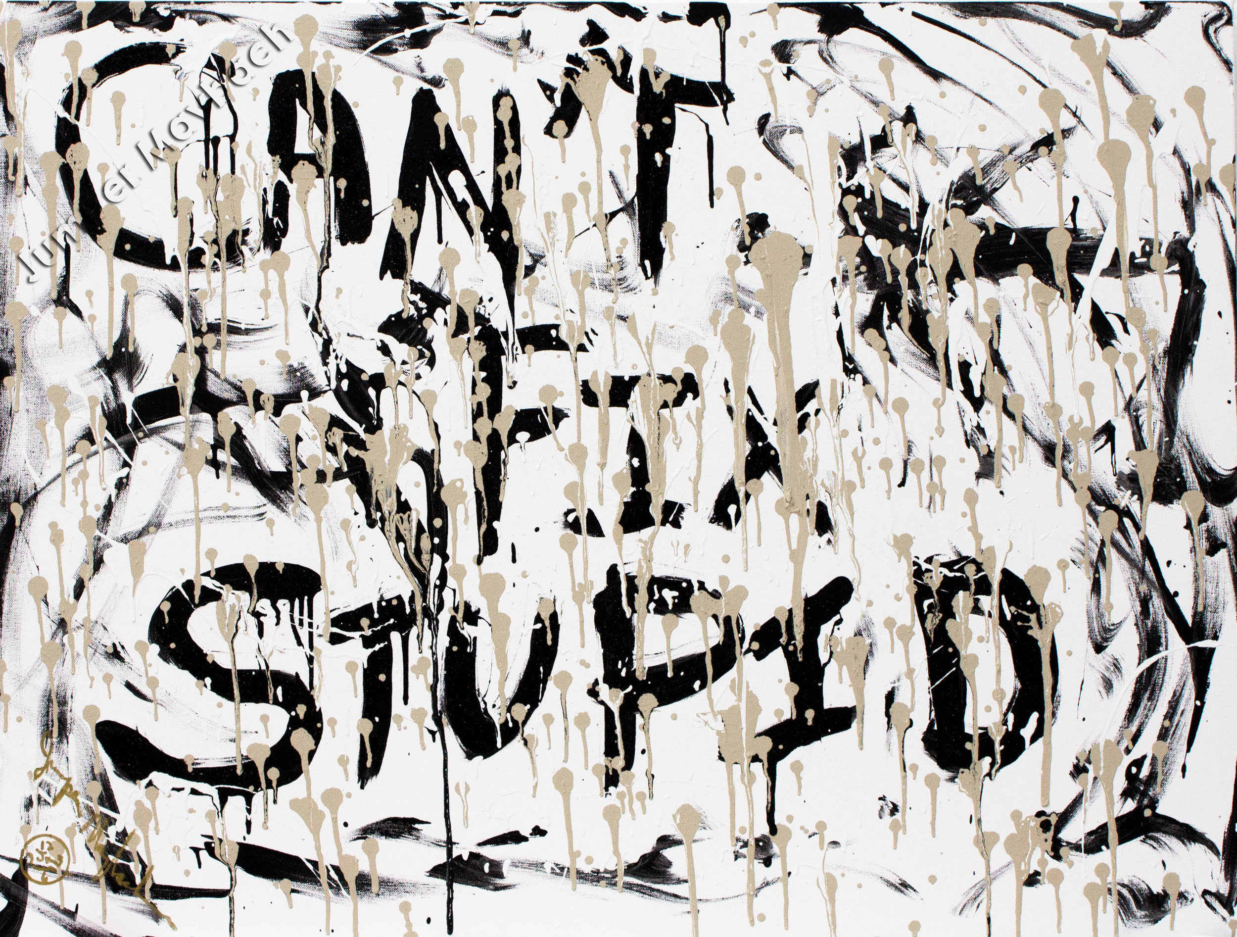 Can't Fix Stupid