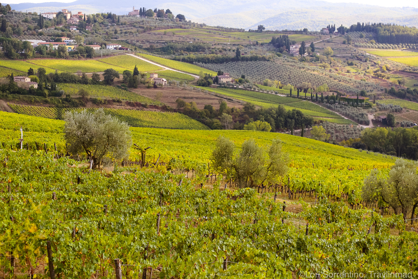 Discover Italy Through These Authentic Slow Travel Tuscany Tours