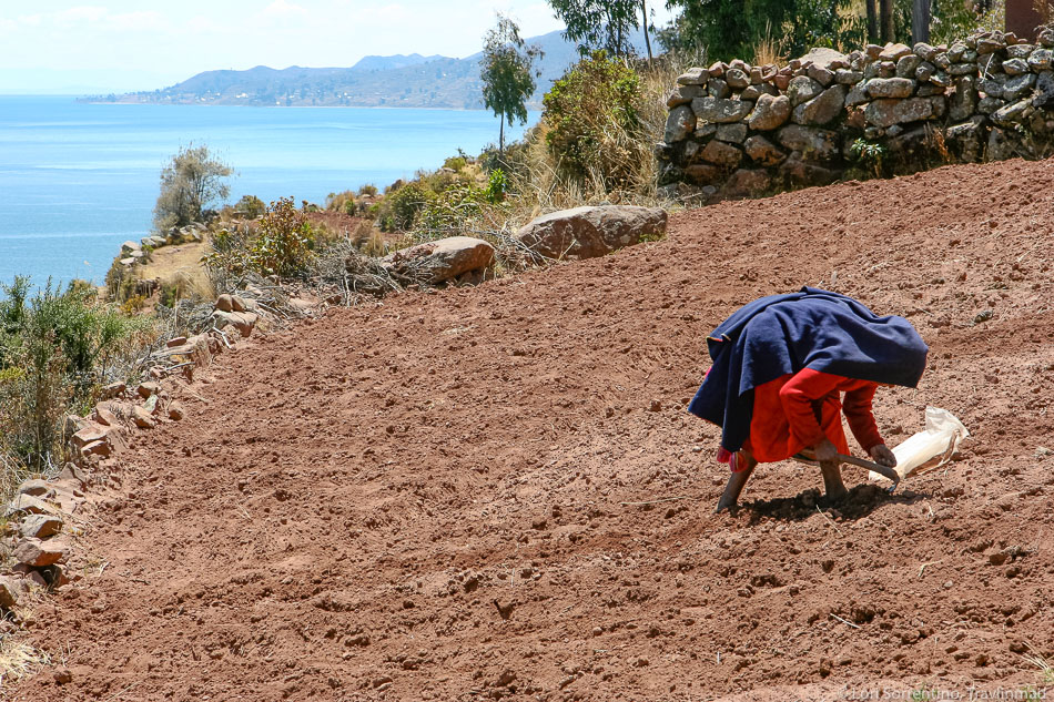 Farming by hand on Taquile Island, Lake Titicaca, Peru