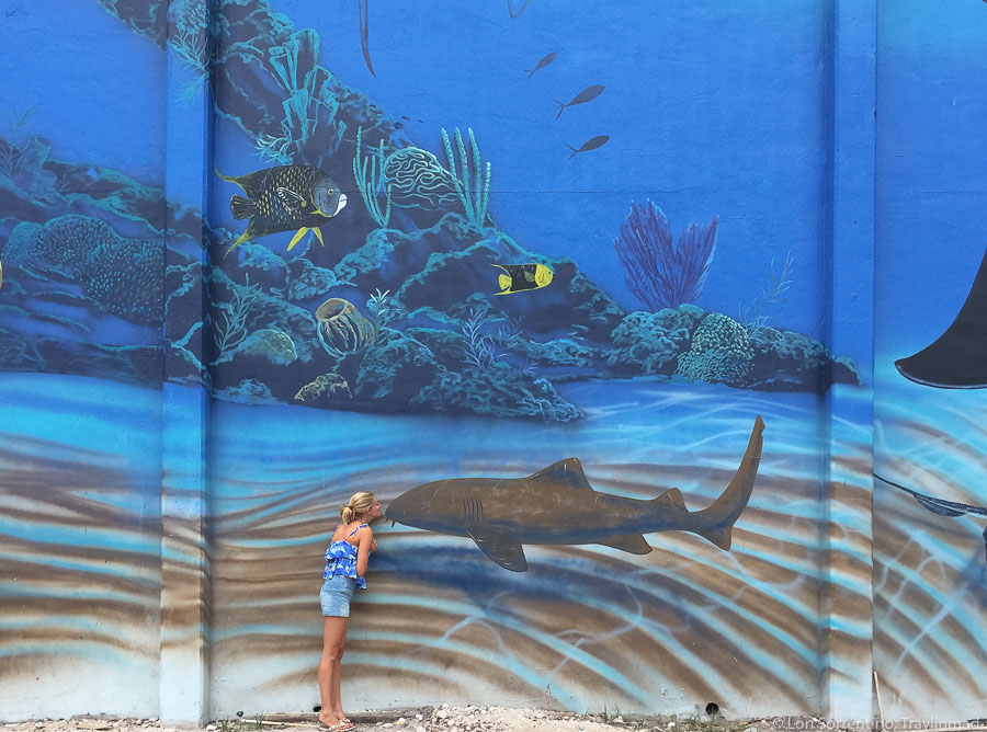Wyland's Whaling Wall, Key West, Florida