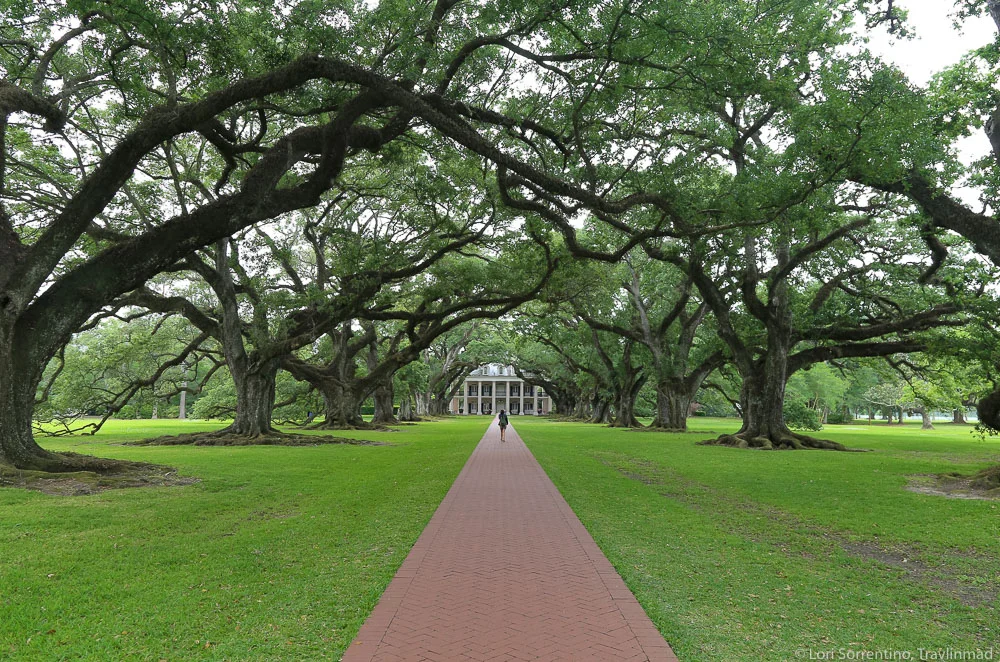 3 New Orleans Plantations to Visit Along the Great River