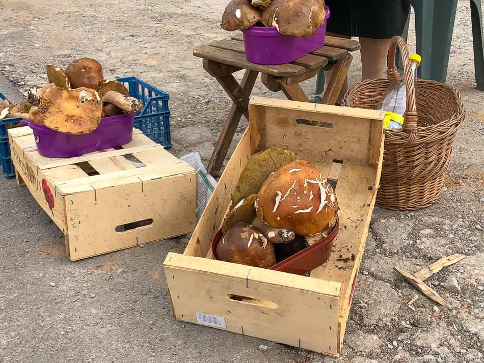 Wild mushrooms for sale in Slovenia