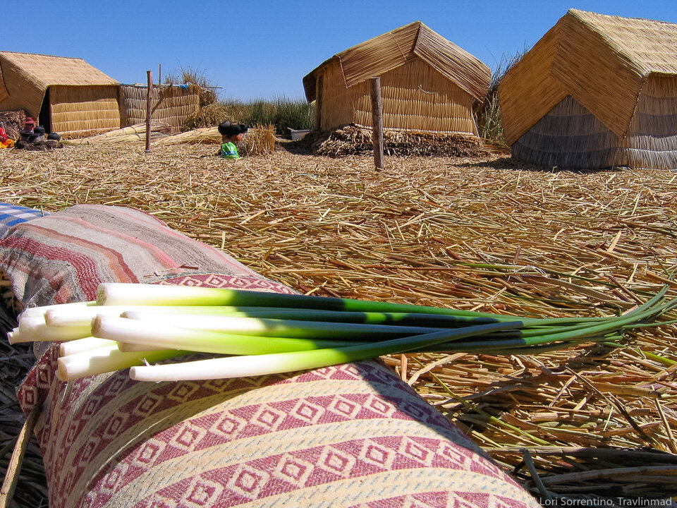 Reeds of grass, Uros islands, Lake Titicaca, Peru
