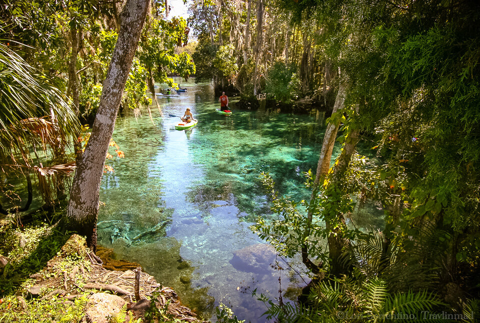 vintage resturaunt and crystal river fl