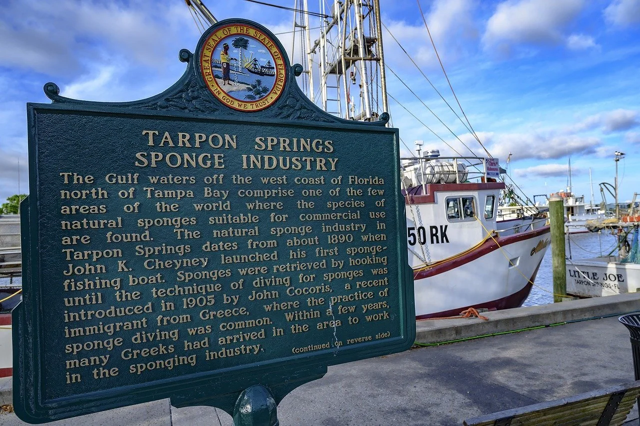 Tarpon Springs's Instagram, Twitter & Facebook on IDCrawl
