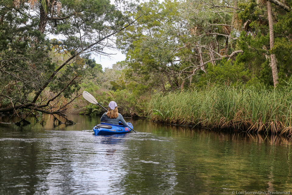 Paddling Baird Creek and the Chassohowitzka River, Homosassa, Florida