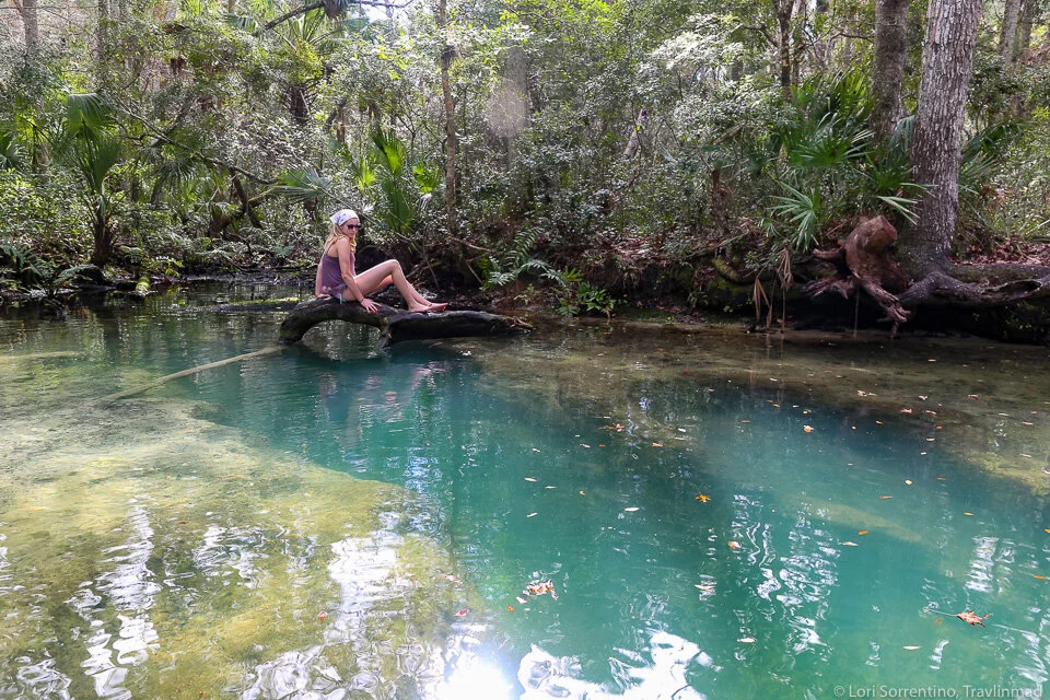 12 Fabulous Florida Road Trips and Scenic Drives For Every Kind of