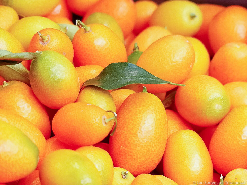 Fresh, tart Kumquats from Florida