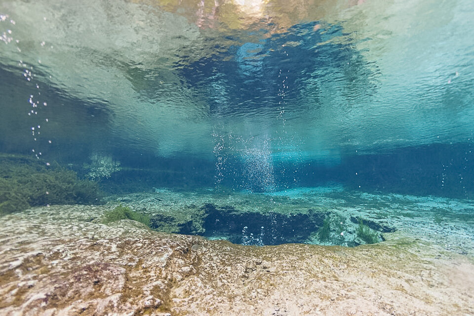 The warm natural springs in Florida are almost other-worldly!