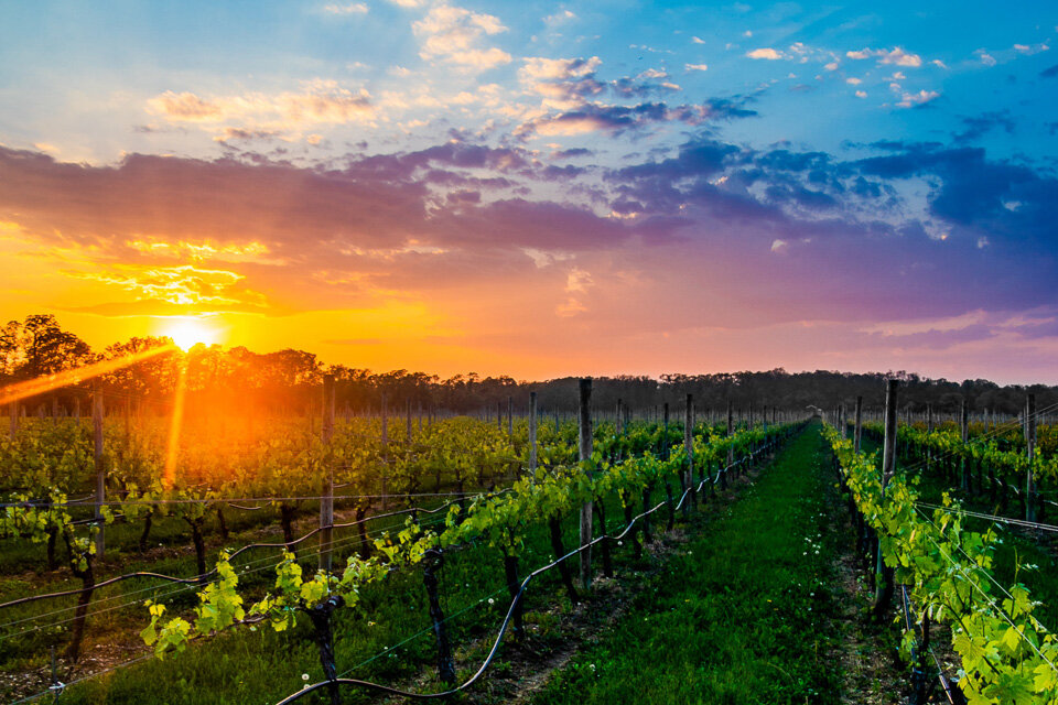 Did you know the North Fork of Long Island is known for their wine?