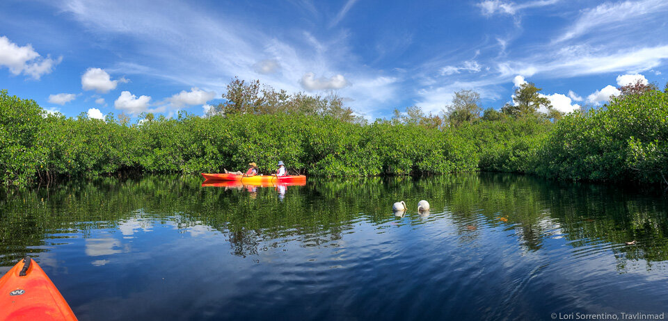 Kayaking on Turner River in Big Cypress Preserve