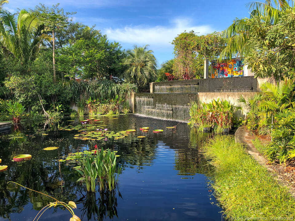 Naples-Botanical-Garden-Naples-Florida.jpg