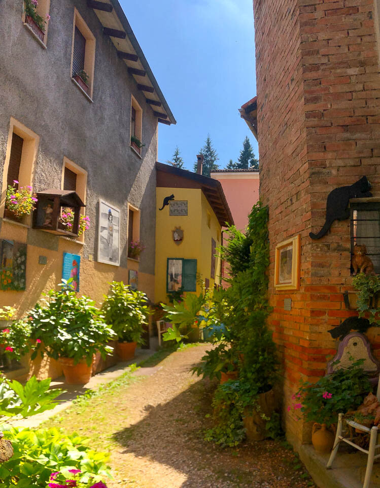 Alley Cats, in the town of Tolé