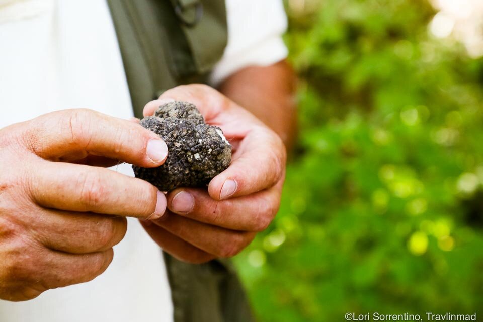 Black Italian truffles found by Macchia