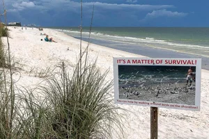 A Local's Guide to the 7 Best Beaches in Naples, Florida — Travlinmad