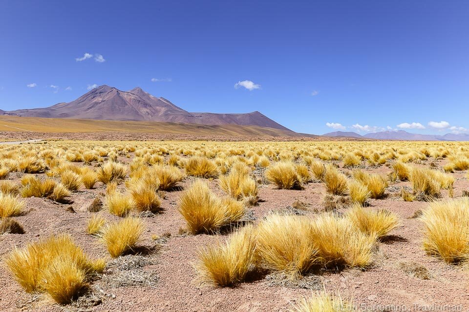 Chile’s Atacama Desert is one of the most beautiful and surreal landscapes in the world