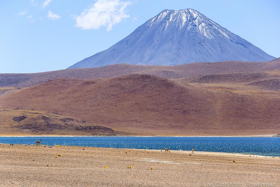 Laguna Miscanti, Atacama desert, Chile
