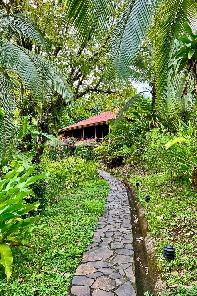 Essential Guide to Drake Bay Costa Rica Things to Do & Where to Stay