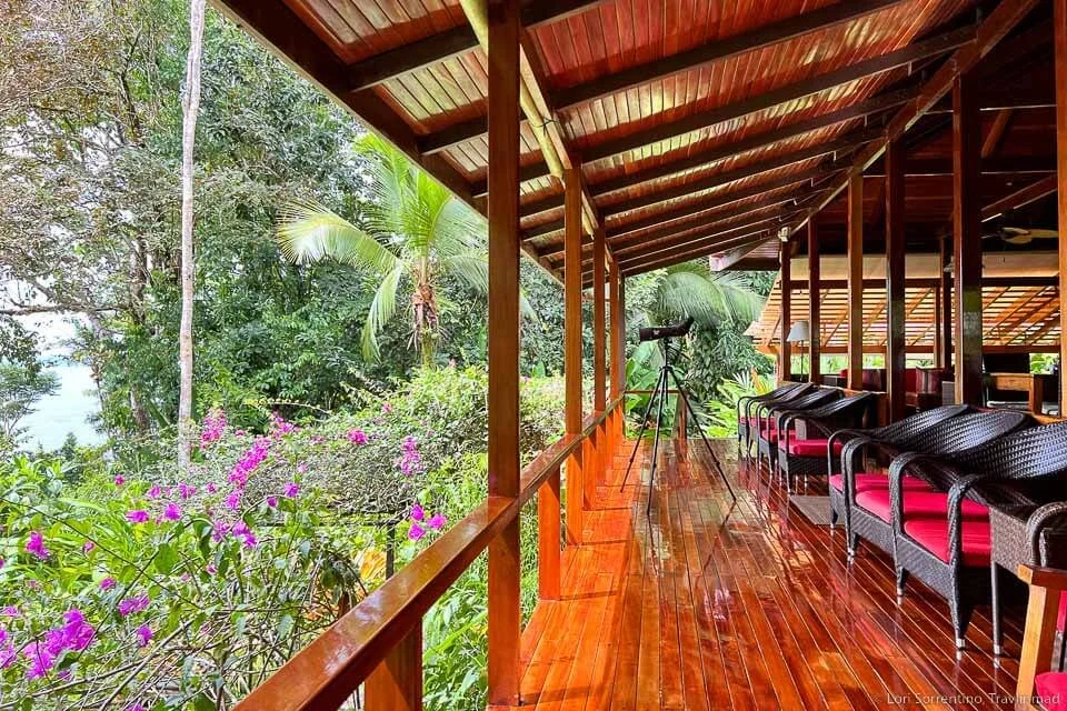 Essential Guide to Drake Bay Costa Rica Things to Do & Where to Stay