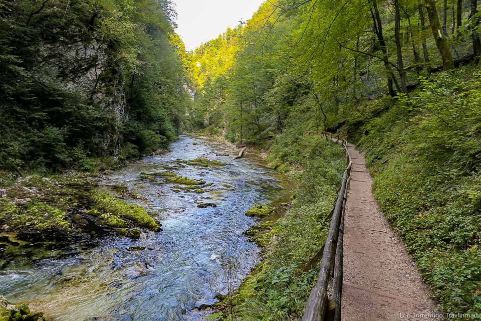 Soteska Vintgar (Gorge / Klamm / Gola) - Podhom 80