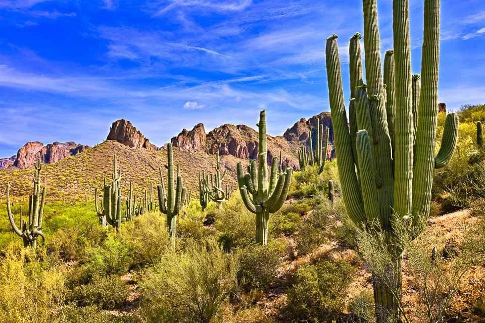 21 Best Spring Break Destinations in the USA (City Breaks, Beaches