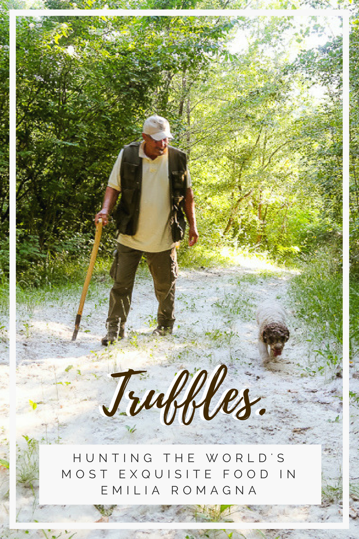 Truffle Hunting in Italy Searching Emilia Romagna for this Exquisite