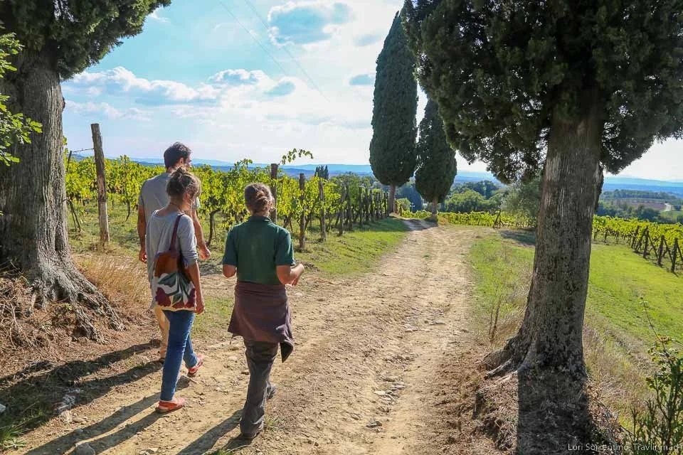 At Pacina, An Old Soul Lets Mother Nature Craft Their Organic Wine ...