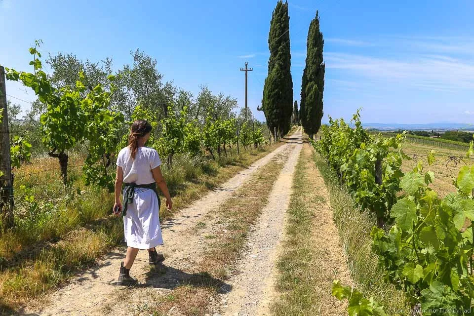 At Pacina, An Old Soul Lets Mother Nature Craft Their Organic Wine ...