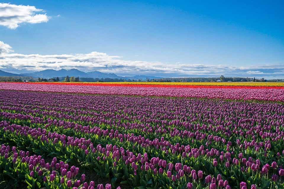 21 Best Spring Break Destinations in the USA (City Breaks, Beaches ...