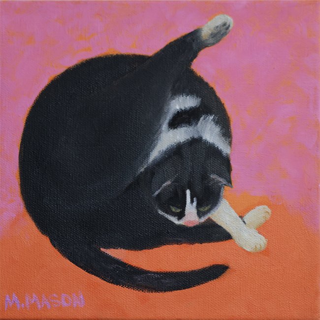 Kitty Yoga - Tuxedo-M.Mason-web.jpg