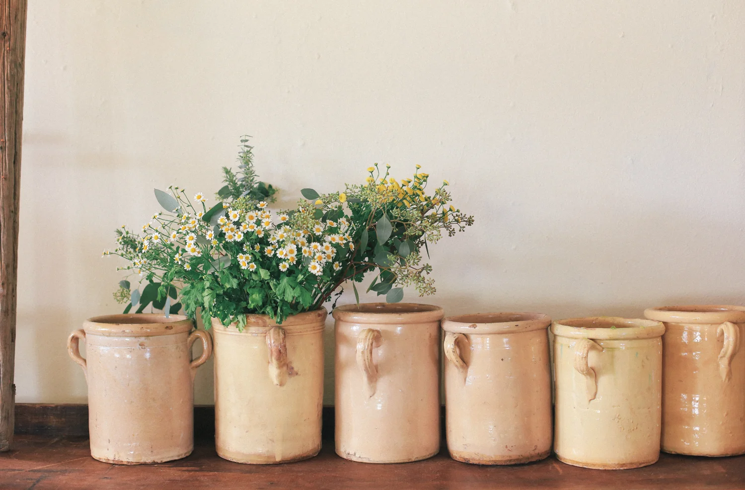 Confit pots (1 of 1).jpg