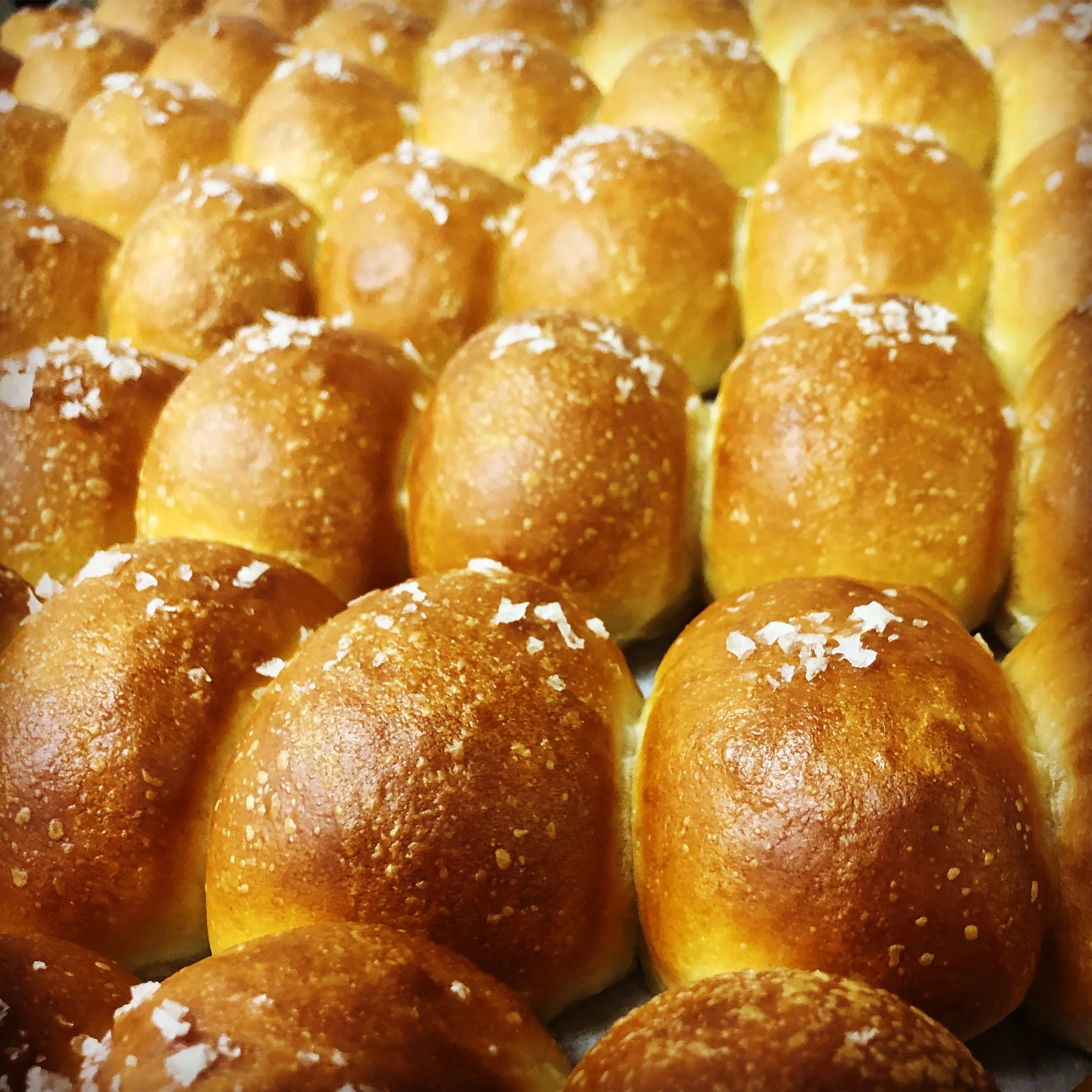 Olive Oil Rolls.JPG