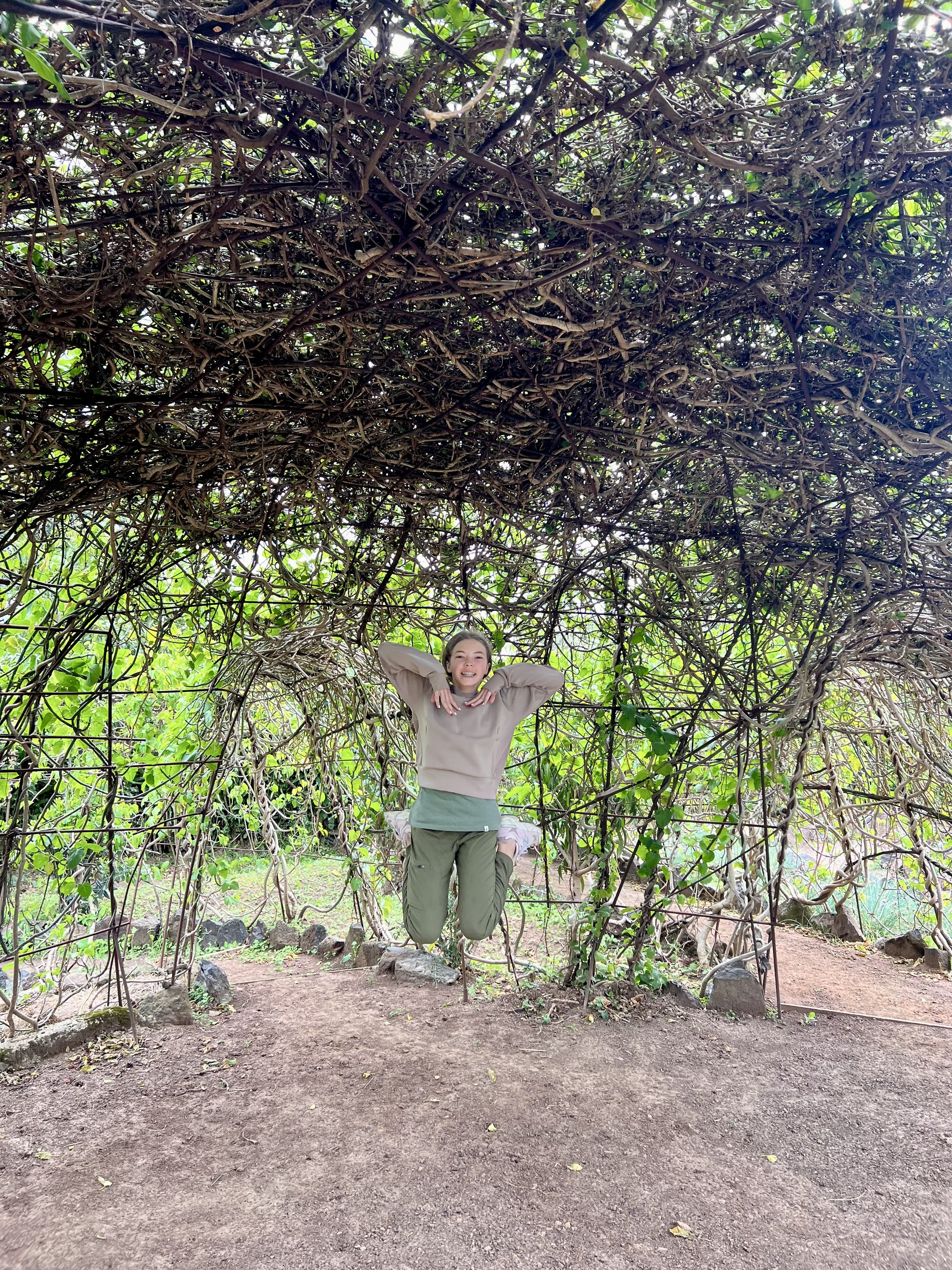 IMG_6604.jpeg