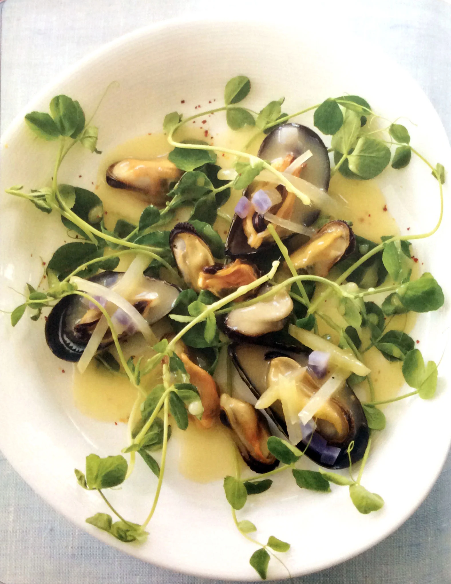 Marina M. PDF _How to cook like a Top Chef-6.jpg