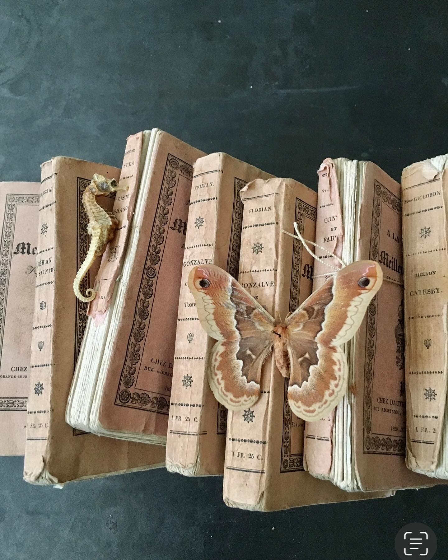 A favorite of mine with everything I love #seahorse #literature #moth #texture #patina #ephemera #history #bookbinding #foundobjects #composition #nature #artcurator #stilllifephoto