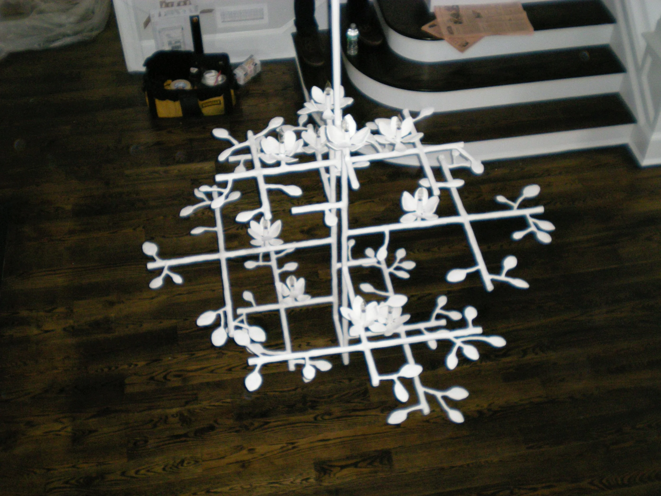 down view.jpg
