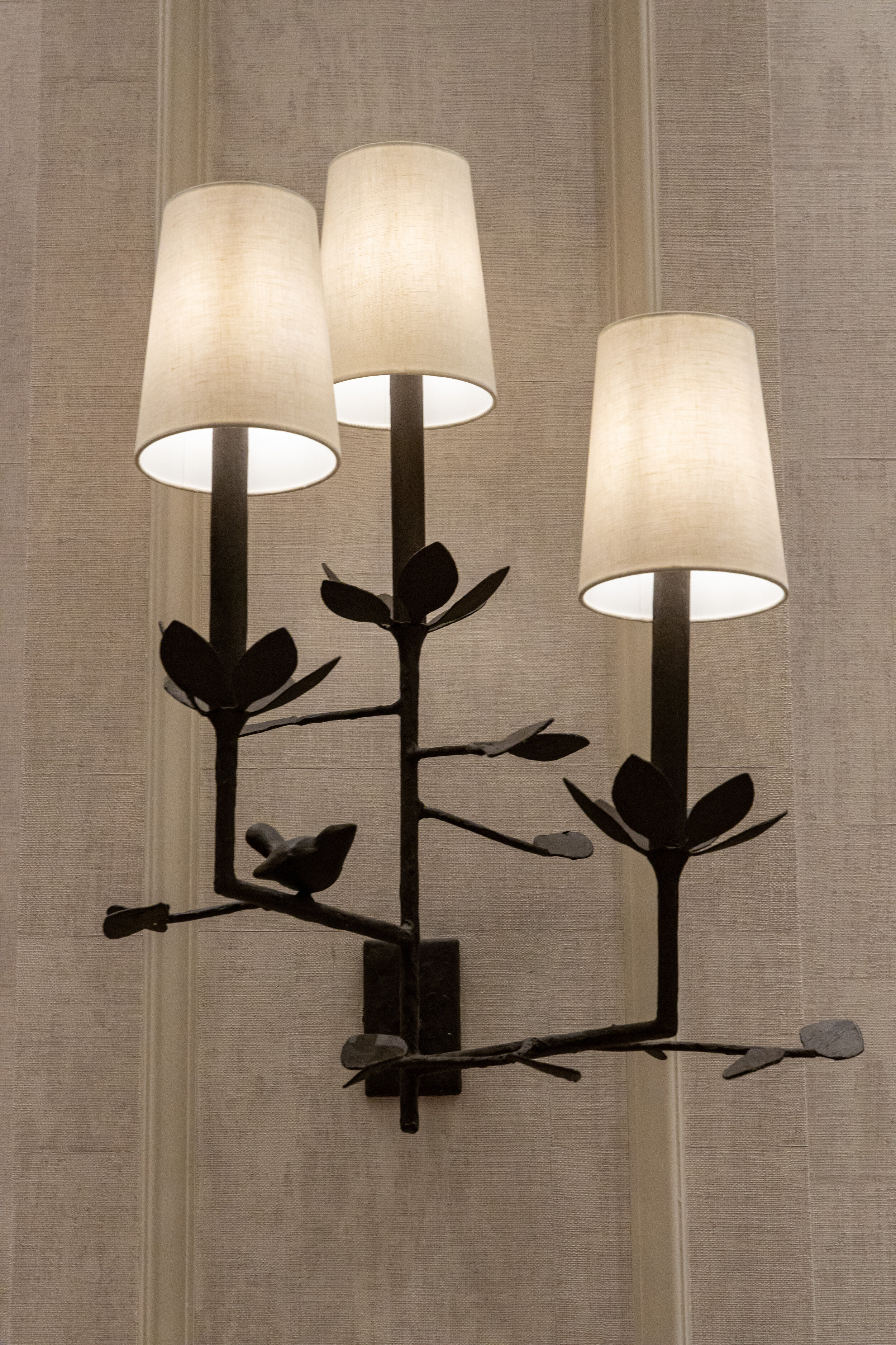 Garden Sconce with Light Shades