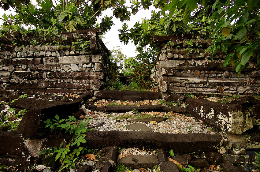 GDeichmann-Pohnpei-Micronesia0056.jpg