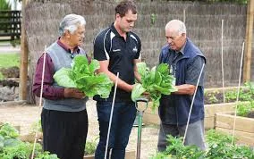 Primary Health Strategies for Decreasing Diabetes Incidence